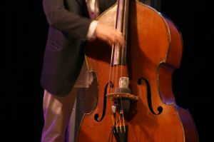 contrabass